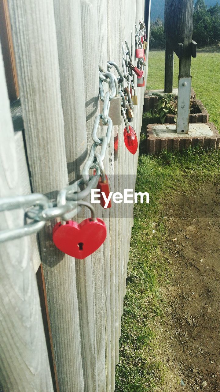 Close-up of heart shaped padlocks on railing