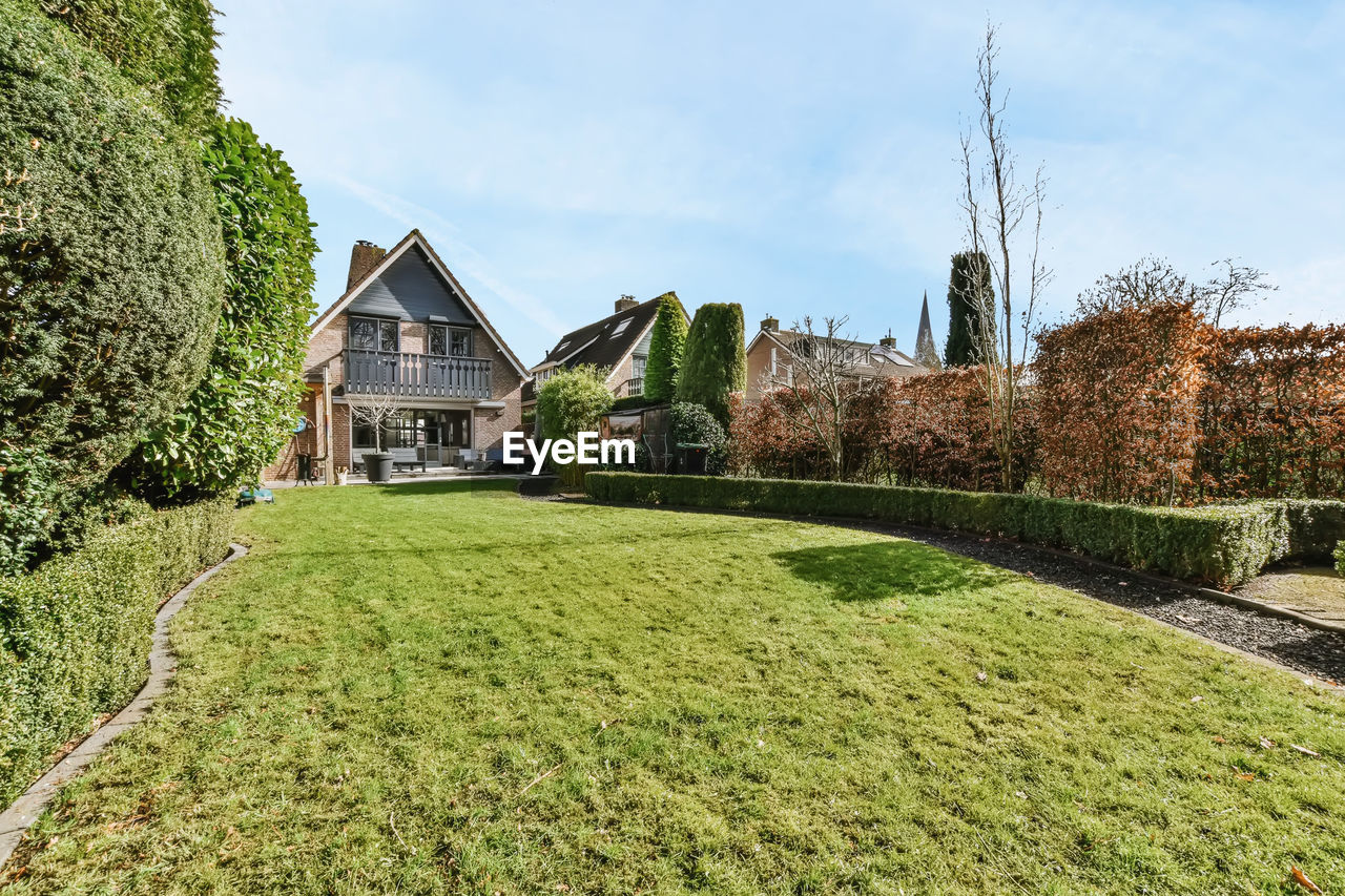 Courtyard with grassy lawn and green lush bushes near residential house located against blue sky in countryside on summer day