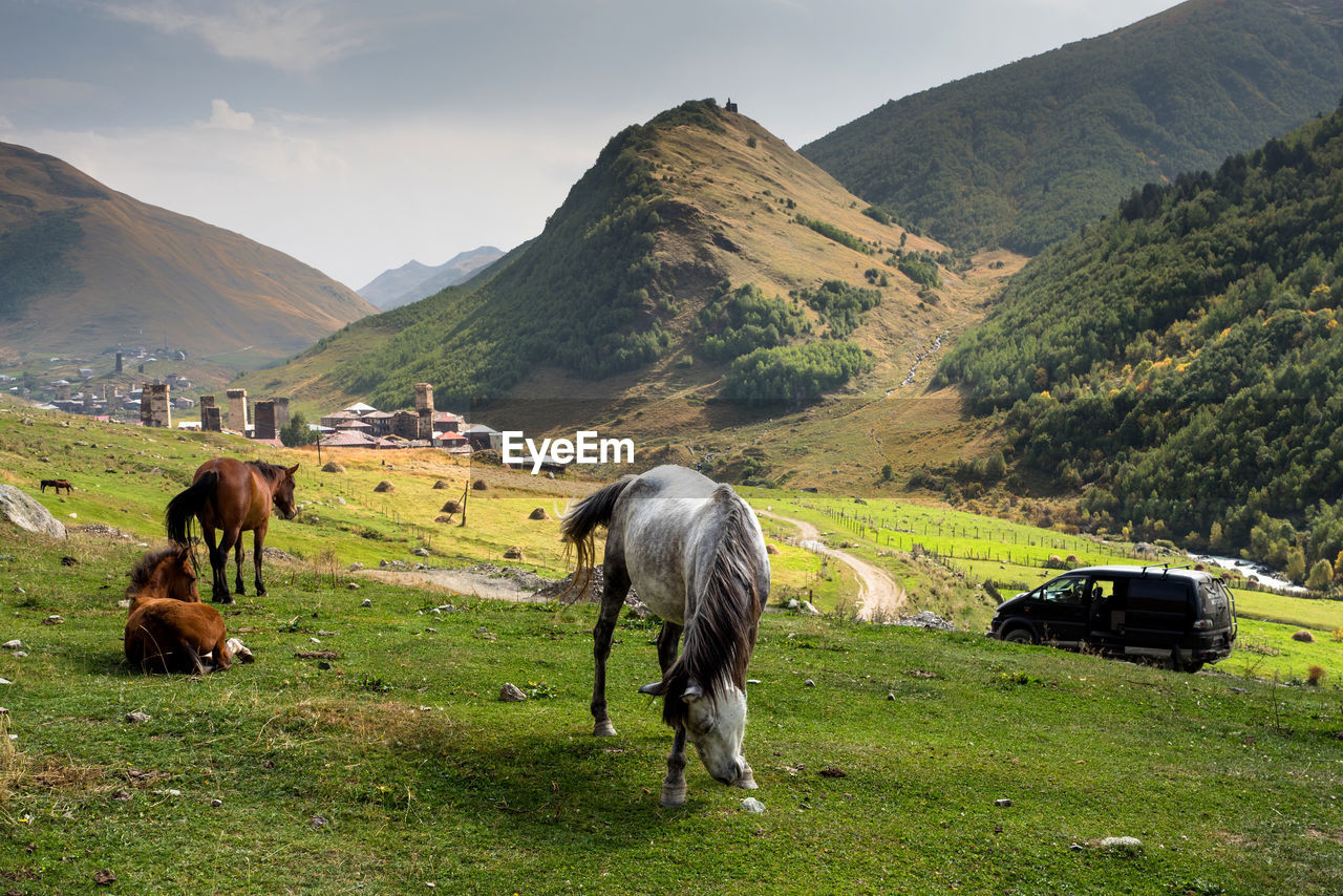 Horses grazing on field against sky