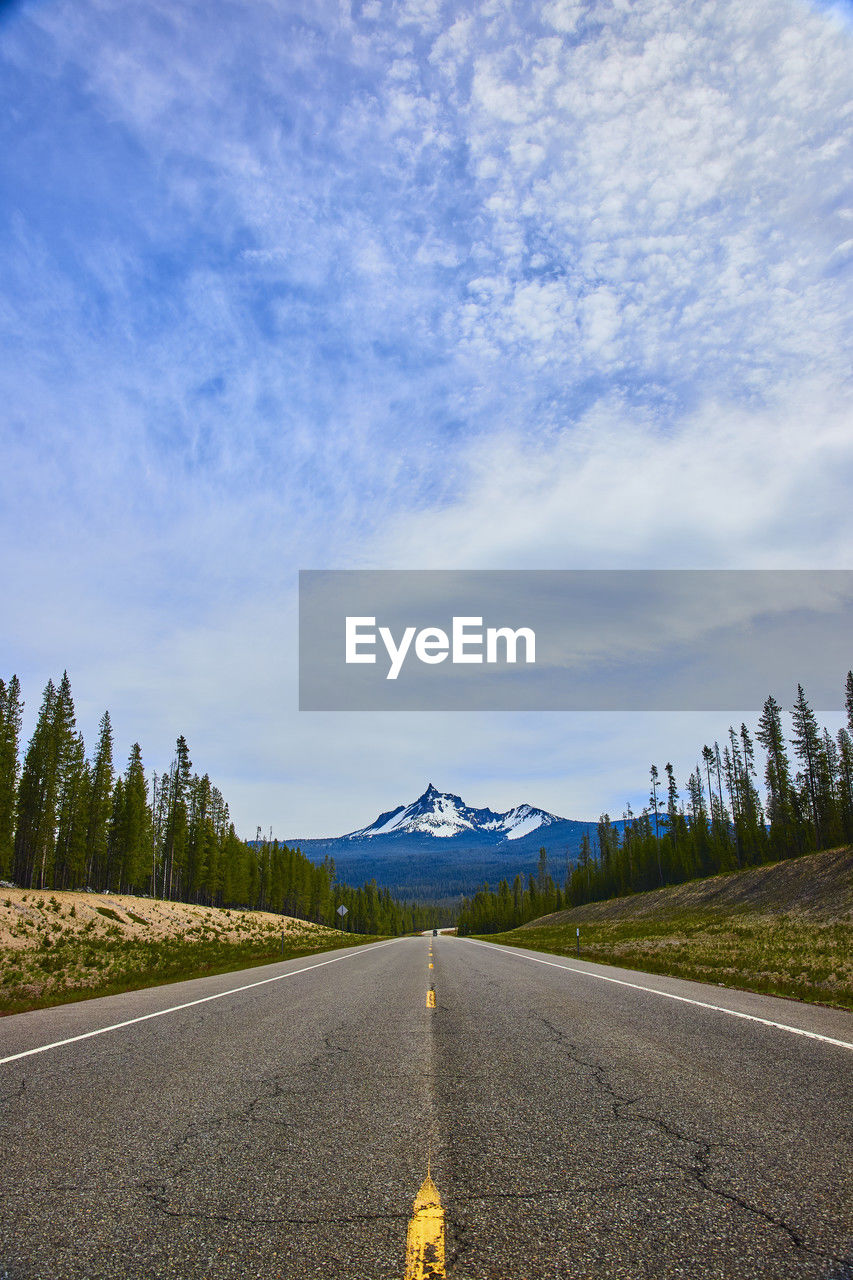 empty road amidst trees against sky