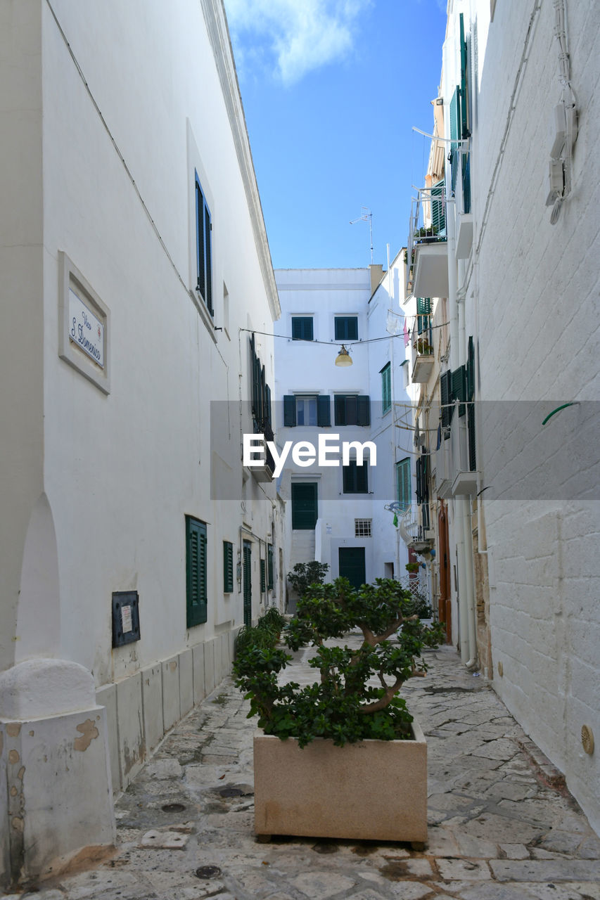 A street of monopoli, an old town in puglia, italy.