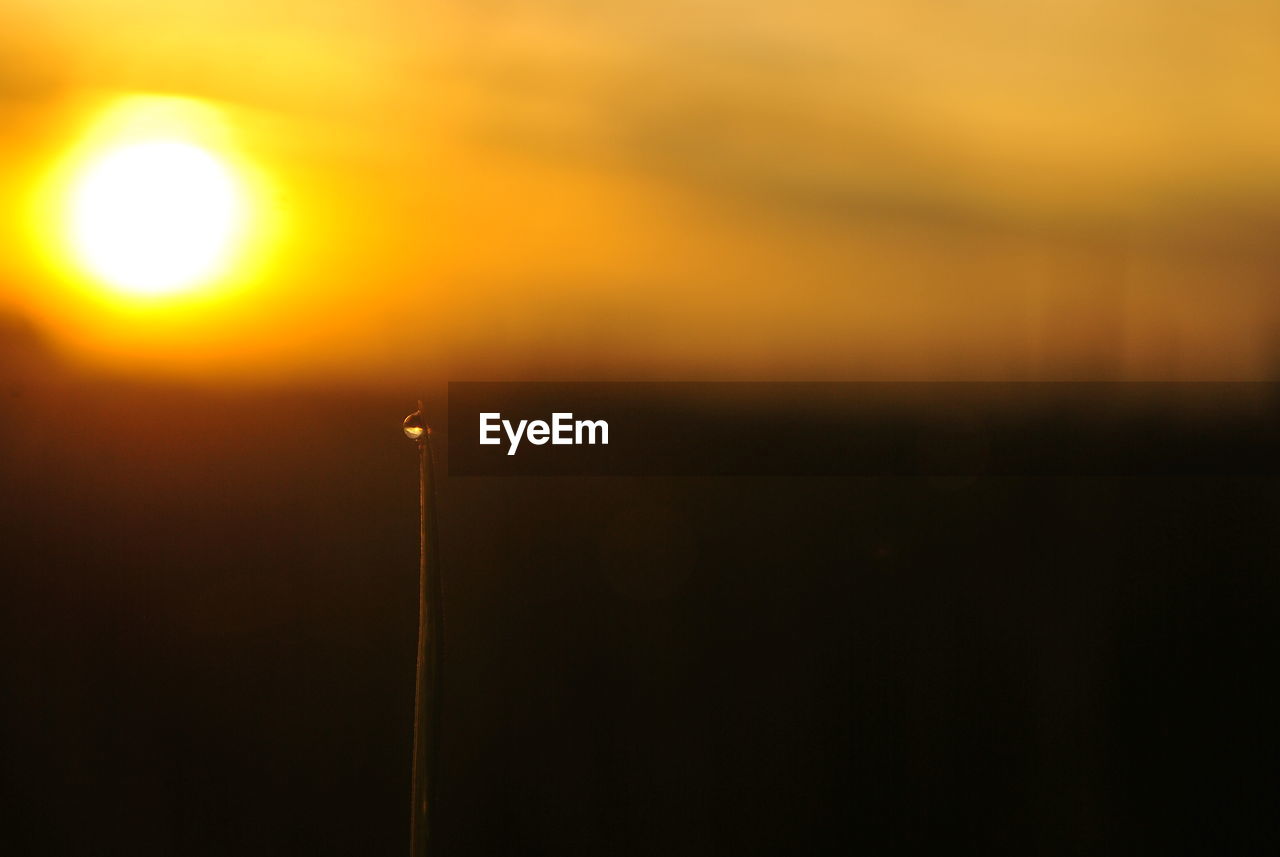 Close-up of plant stem with raindrop during sunset