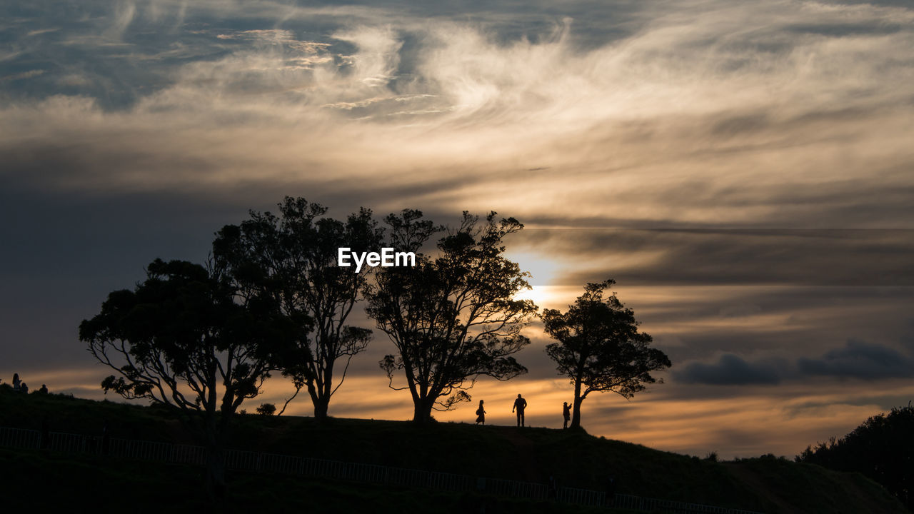 SILHOUETTE TREES AGAINST DRAMATIC SKY