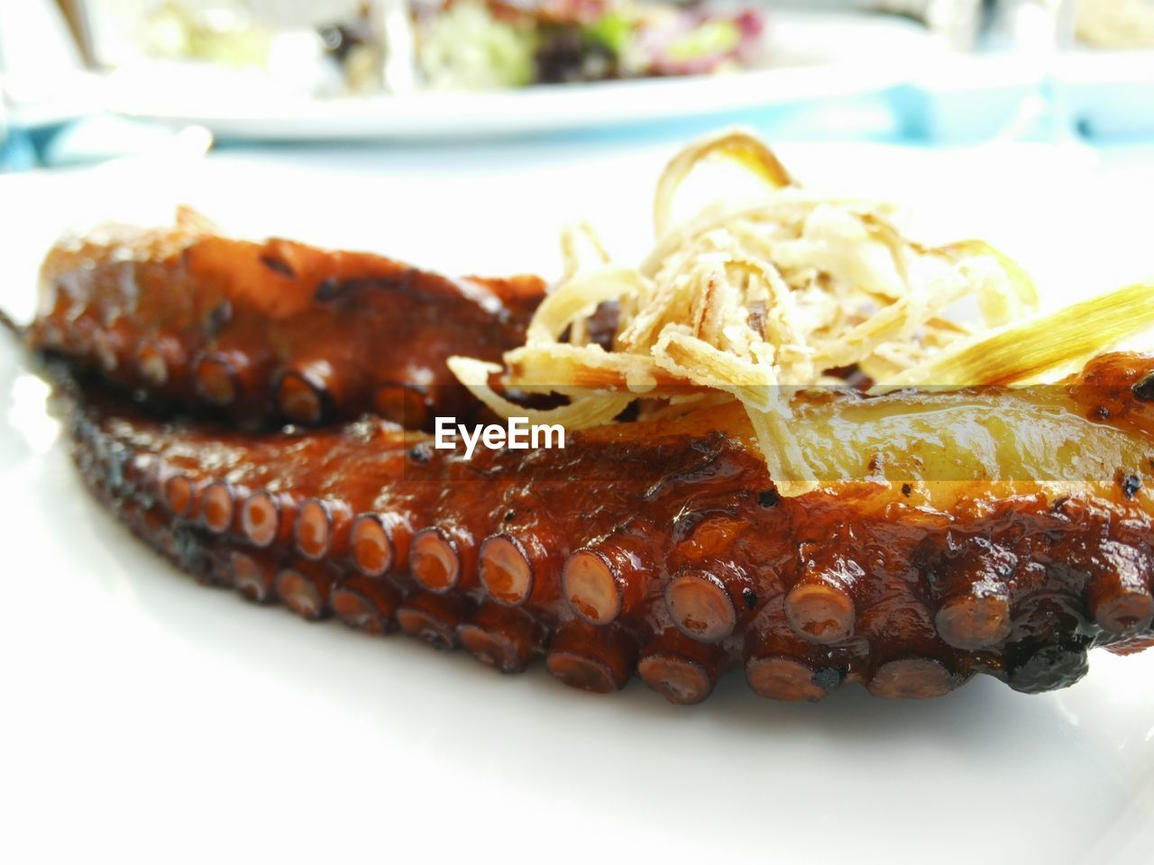 Close-up of octopus served in plate