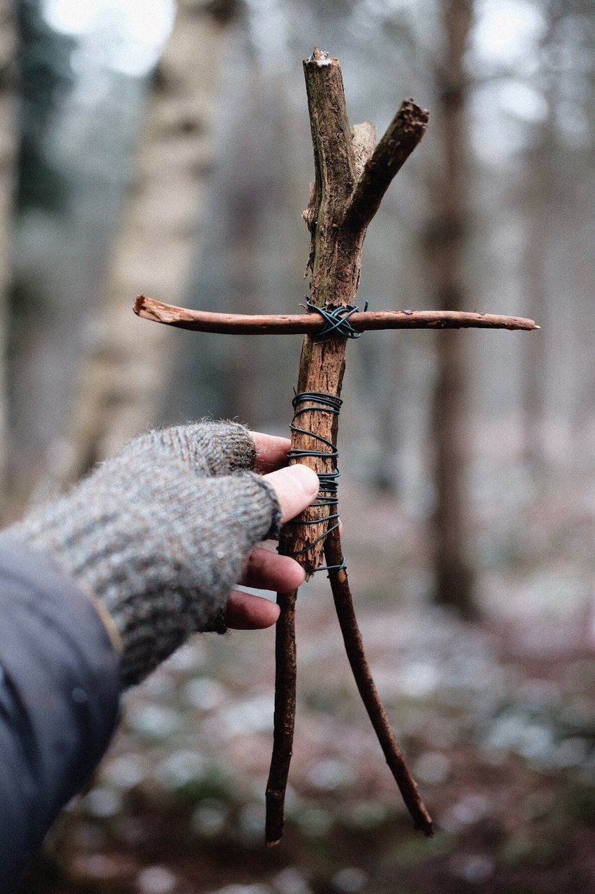 Cropped hand holding wooden stick