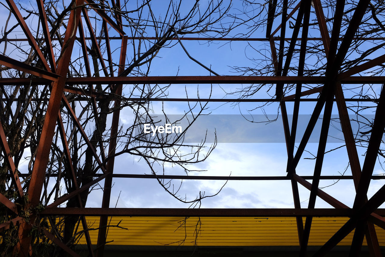 LOW ANGLE VIEW OF TREE AGAINST SKY