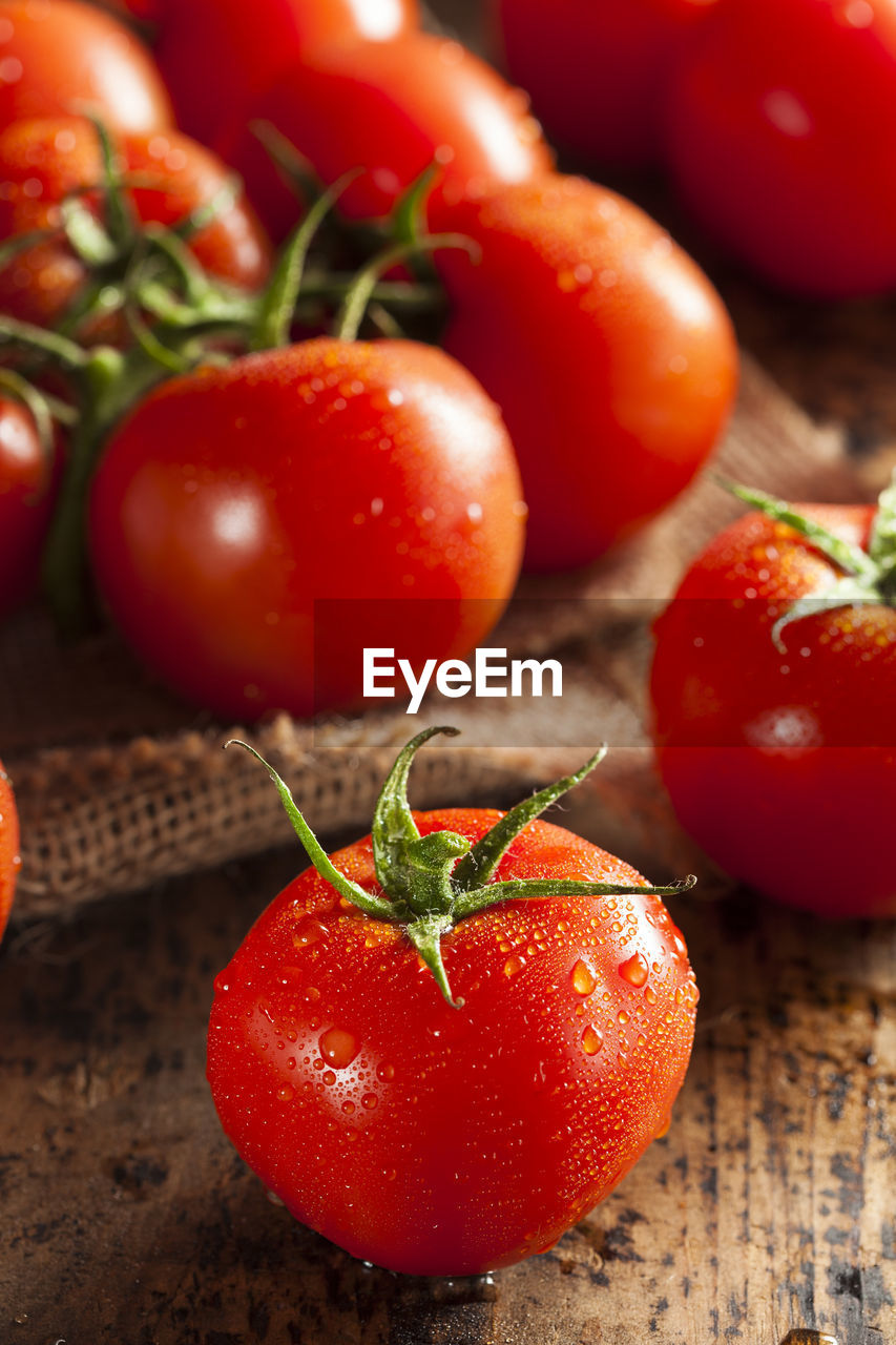 high angle view of tomatoes