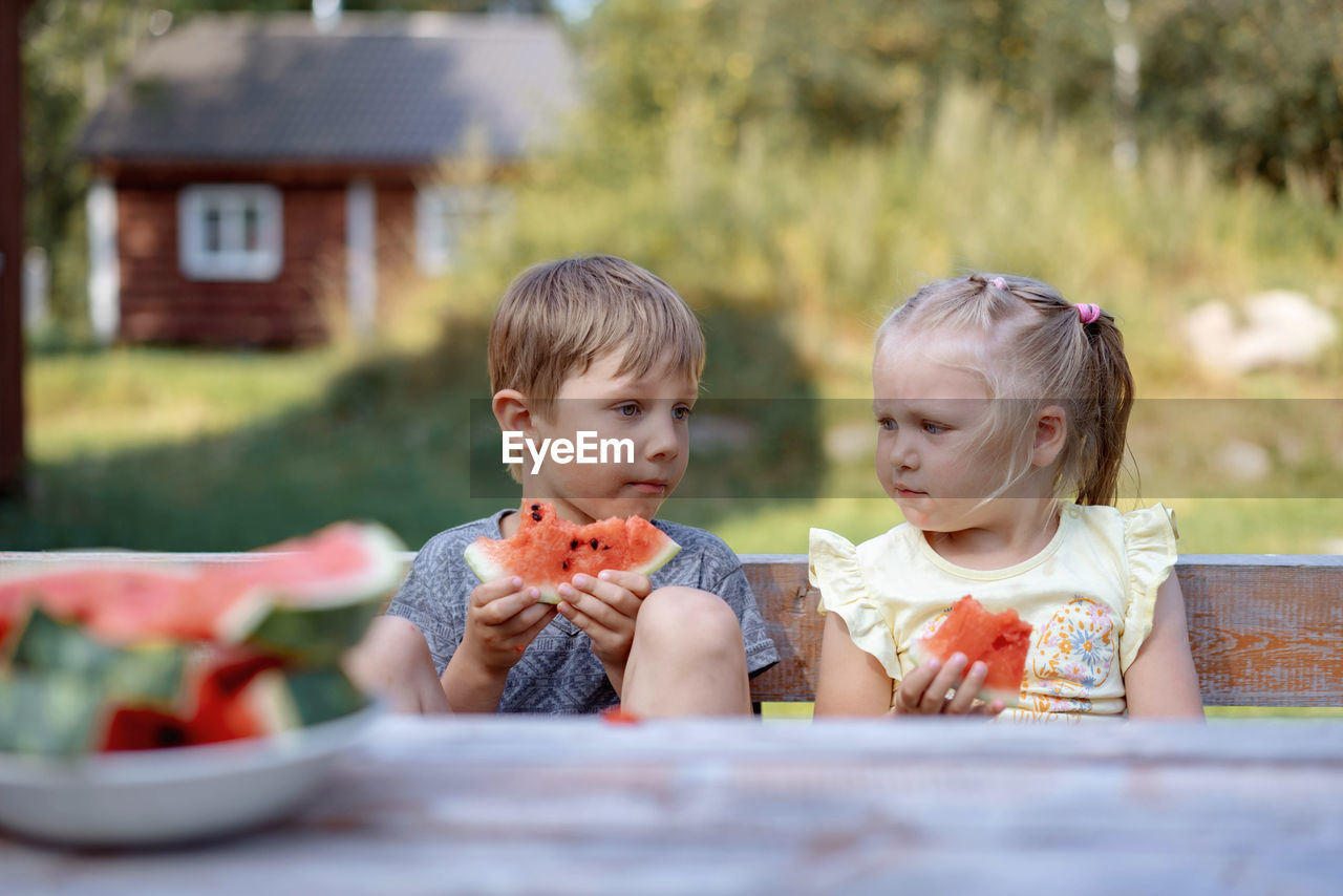 Cute caucasian children eating watermelon in countryside