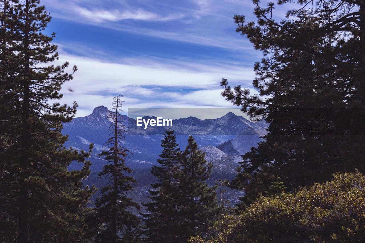 Scenic view of tree mountains against blue sky