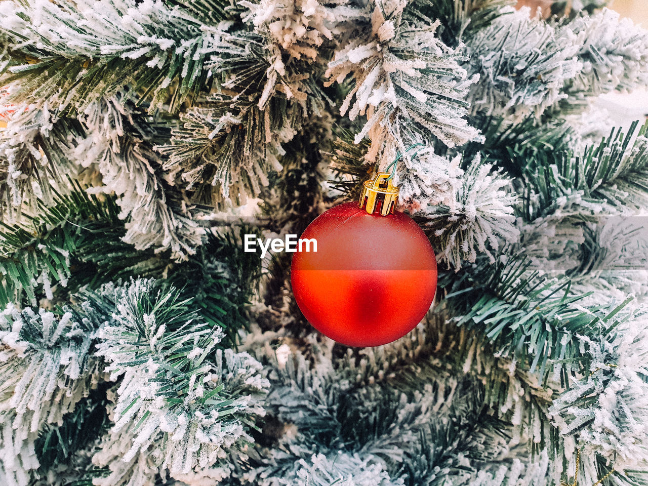 Close up view of a red christmas ball hanging on christmas tree