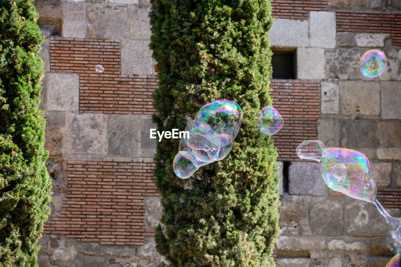 close-up of bubbles against wall