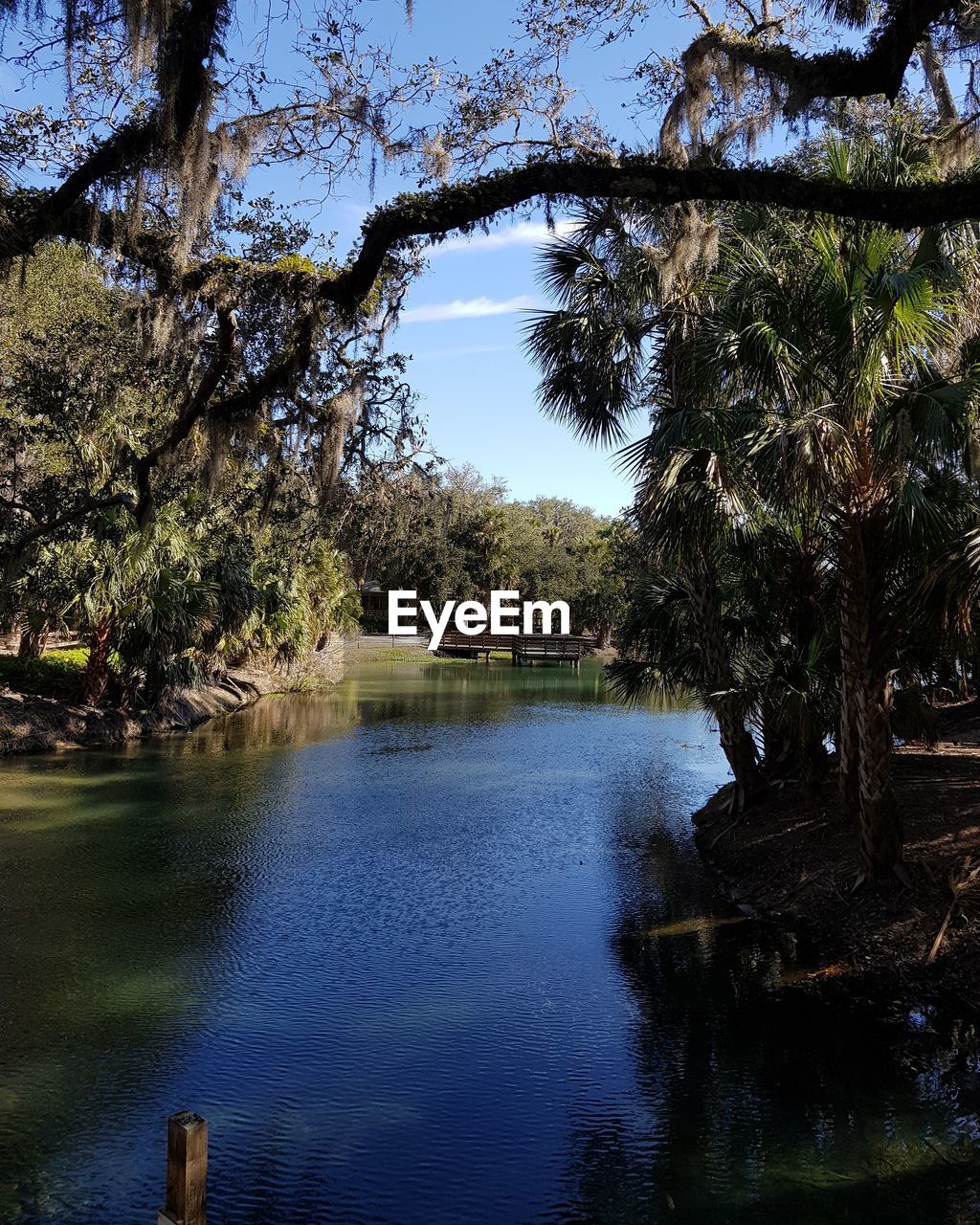 SCENIC VIEW OF LAKE AND TREES AGAINST SKY