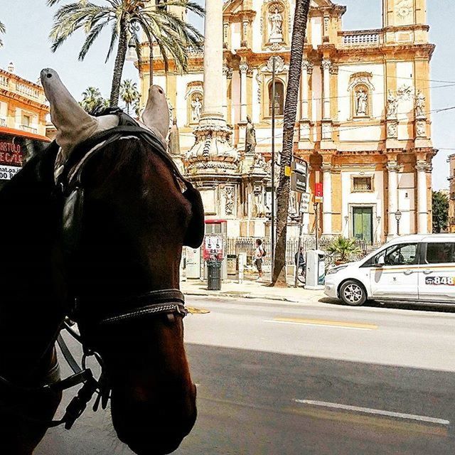 VIEW OF CITY STREET