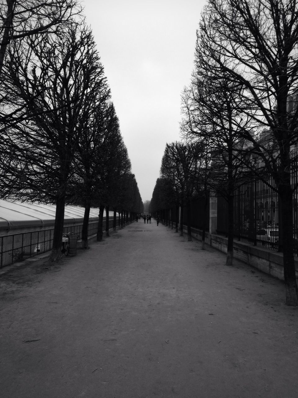 WALKWAY LEADING TOWARDS BARE TREES