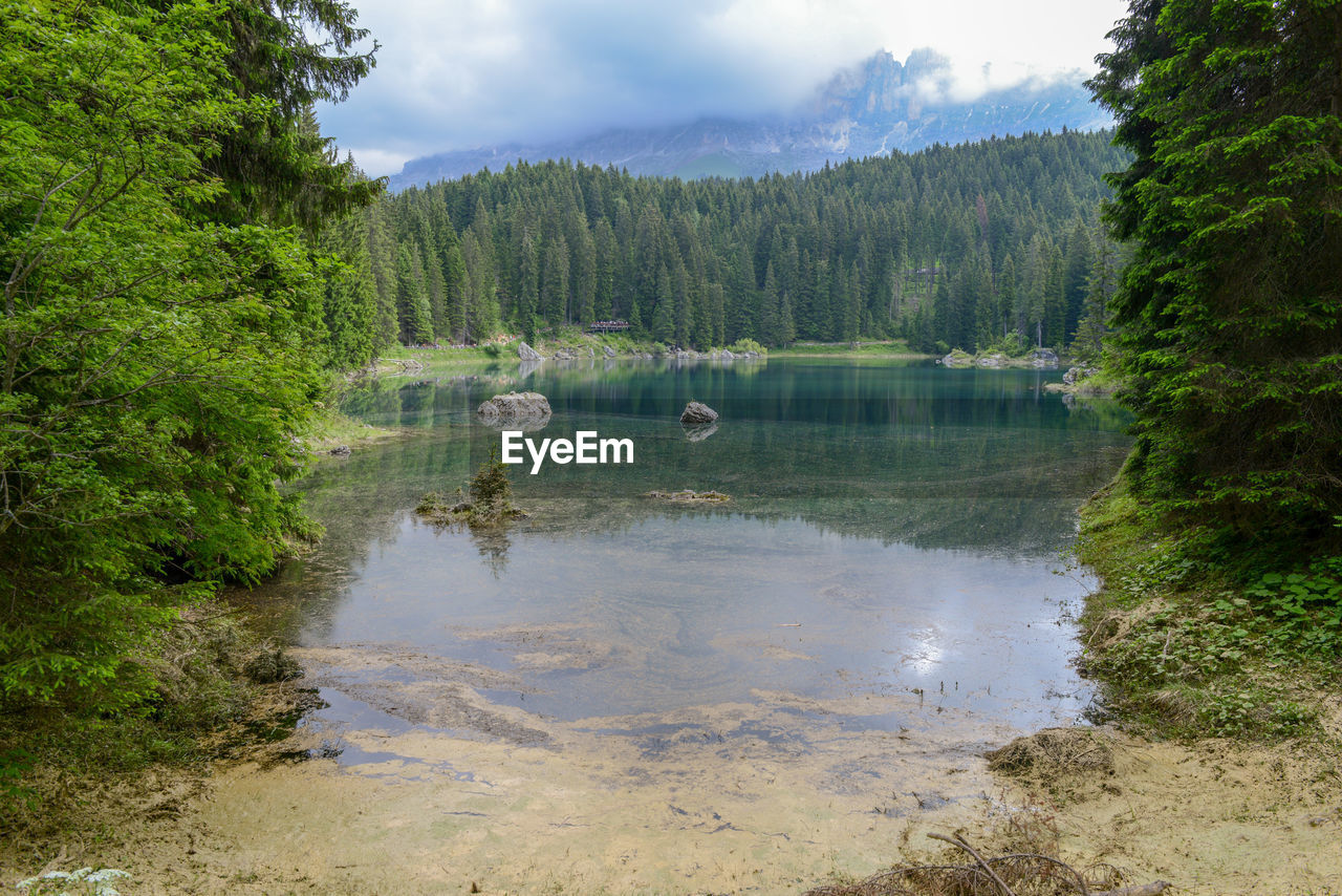 Scenic view of lake in forest against sky