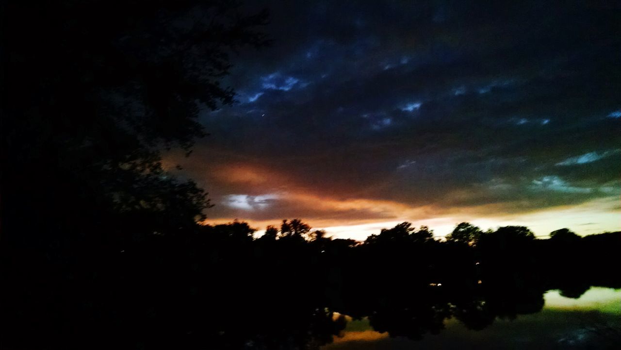 SCENIC VIEW OF SILHOUETTE TREES AGAINST SKY AT NIGHT