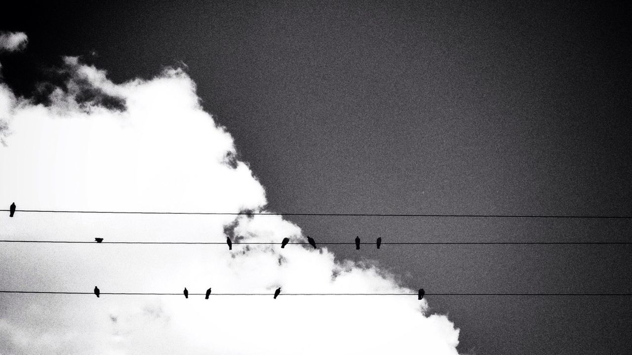 LOW ANGLE VIEW OF POWER LINES AGAINST SKY