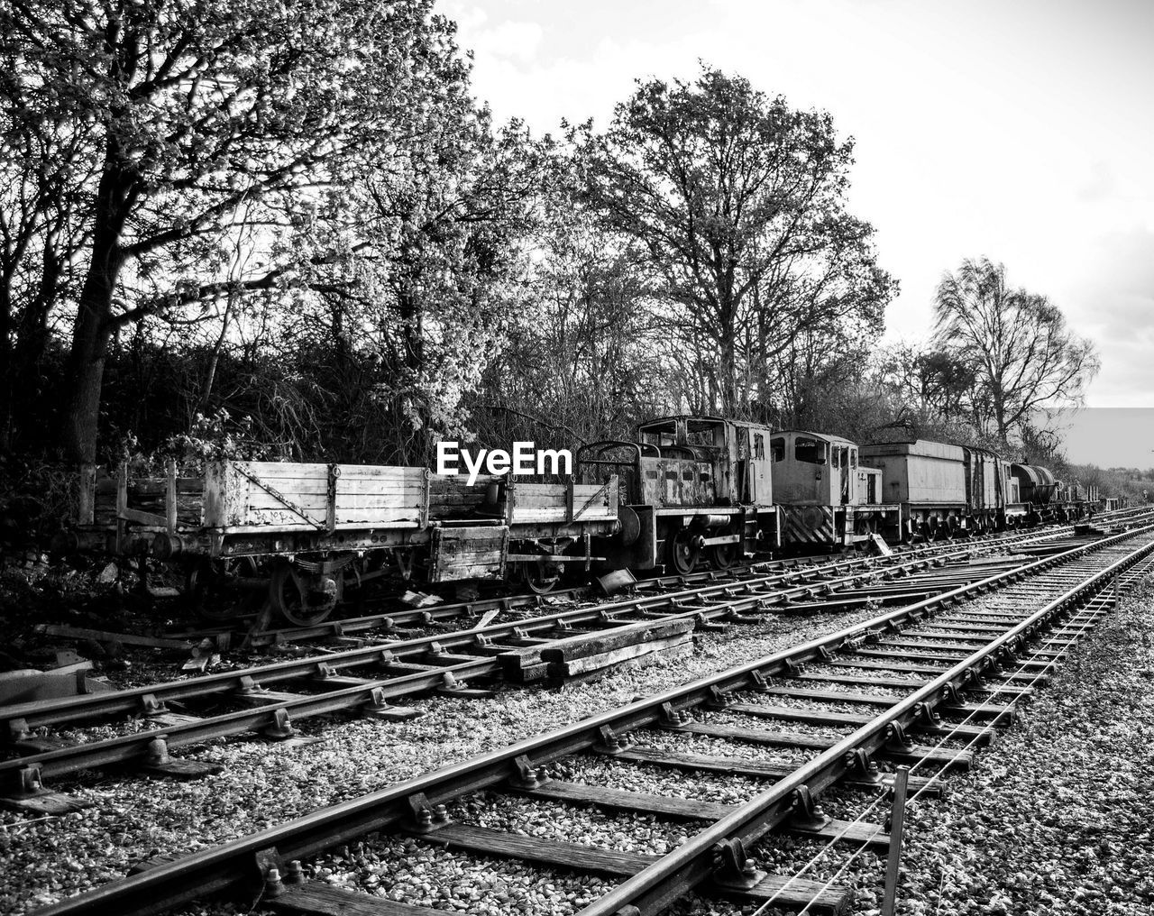 RAILROAD TRACK AMIDST BARE TREES AGAINST SKY