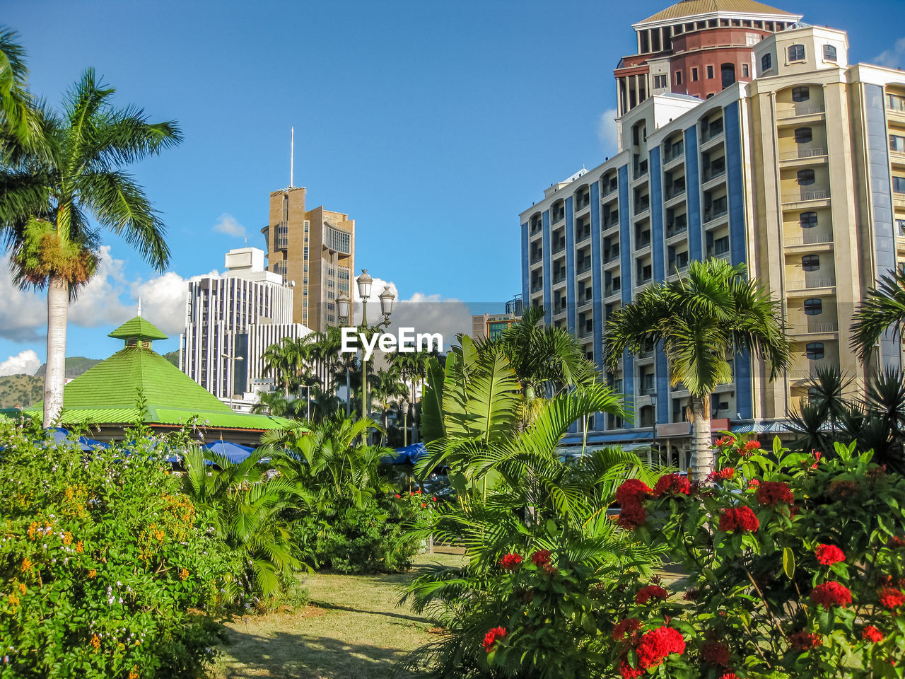 VIEW OF BUILDINGS AND TREES IN CITY