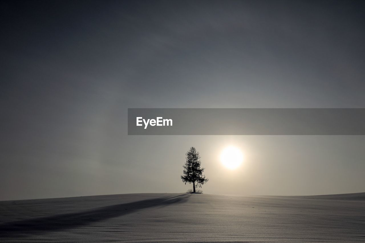 Silhouette trees on landscape against sky during sunset