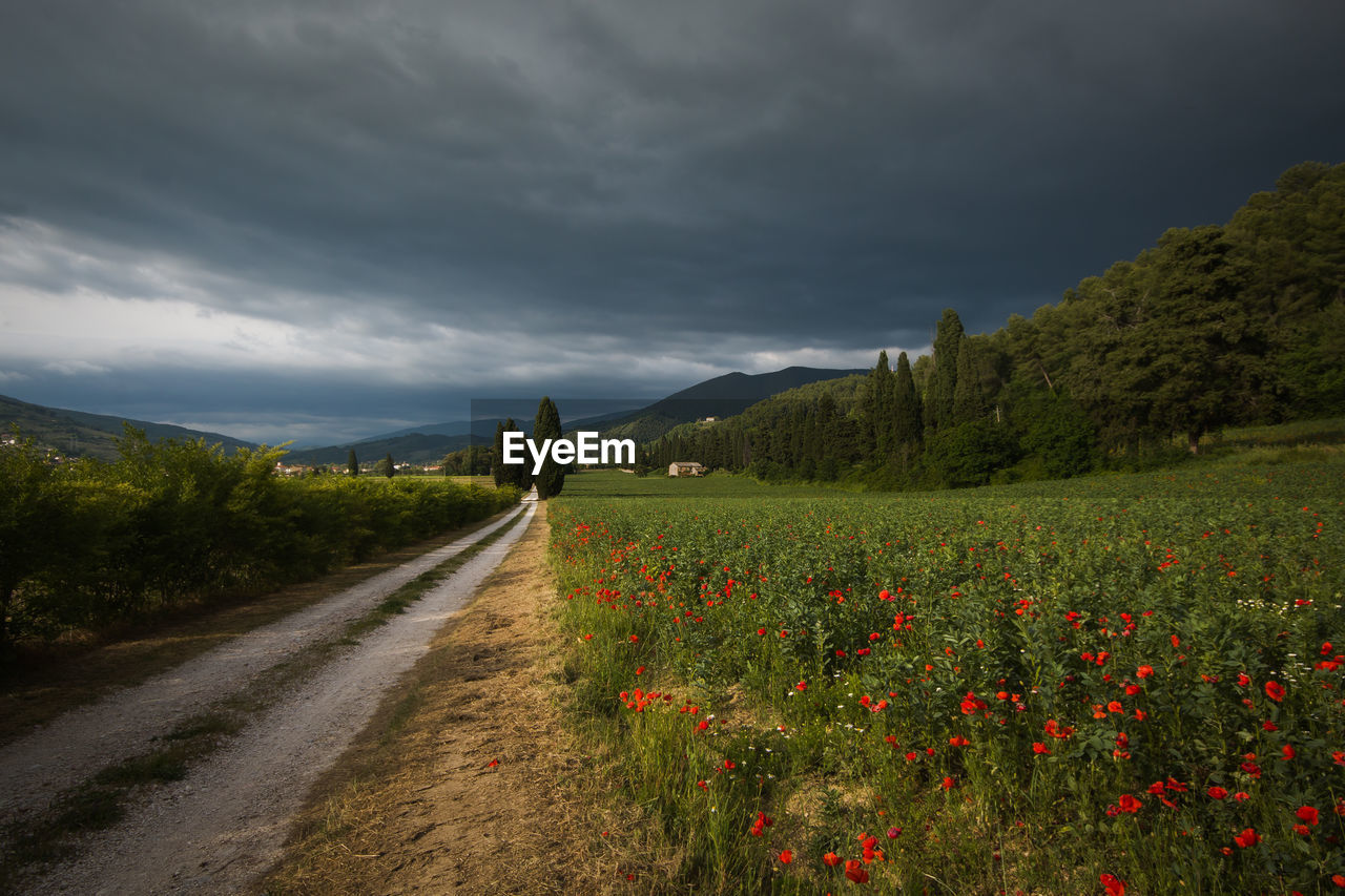 Pathway in the rural field during spring season with leaden and dark sky in foligno, umbria