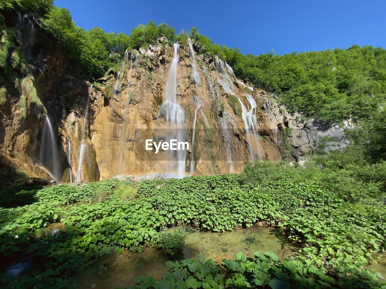 SCENIC VIEW OF WATERFALL ALONG TREES