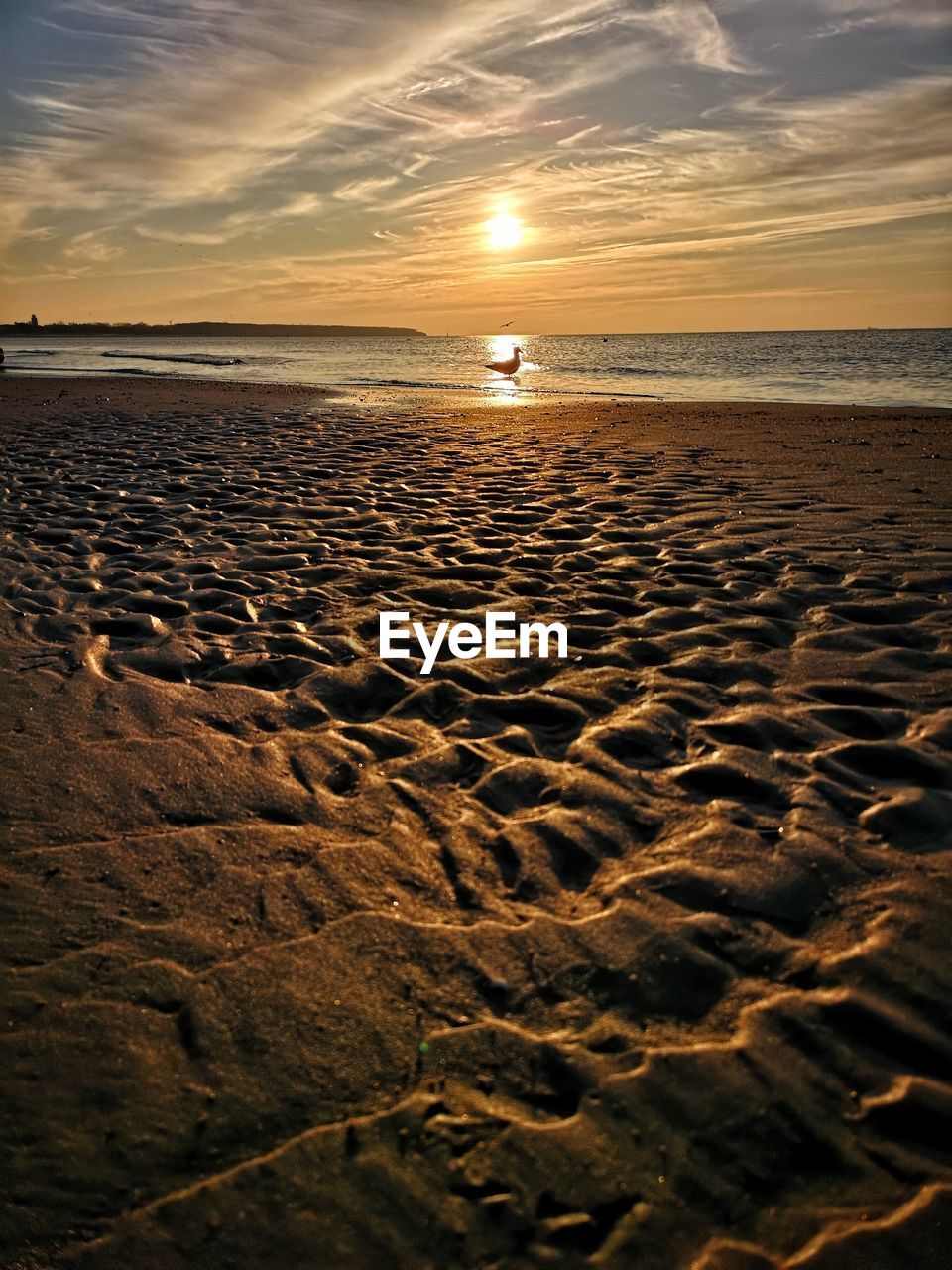 SCENIC VIEW OF SEA DURING SUNSET