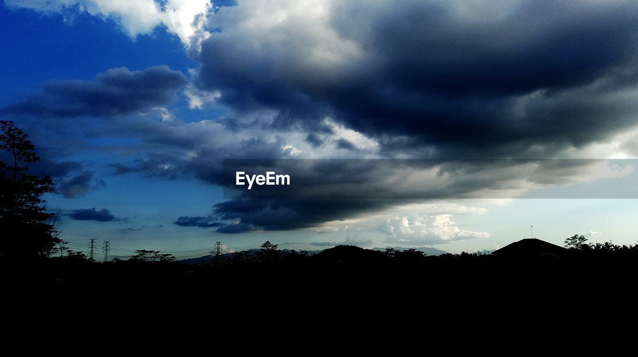 SILHOUETTE OF TREES AGAINST CLOUDY SKY