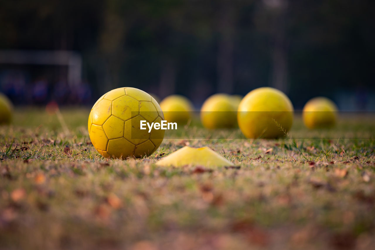 YELLOW BALL ON FIELD