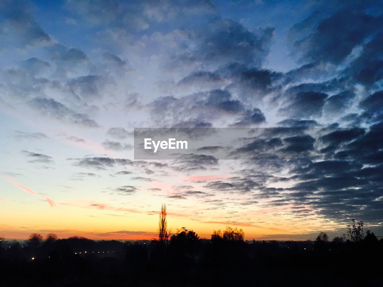 SCENIC VIEW OF DRAMATIC SKY OVER SILHOUETTE TREES