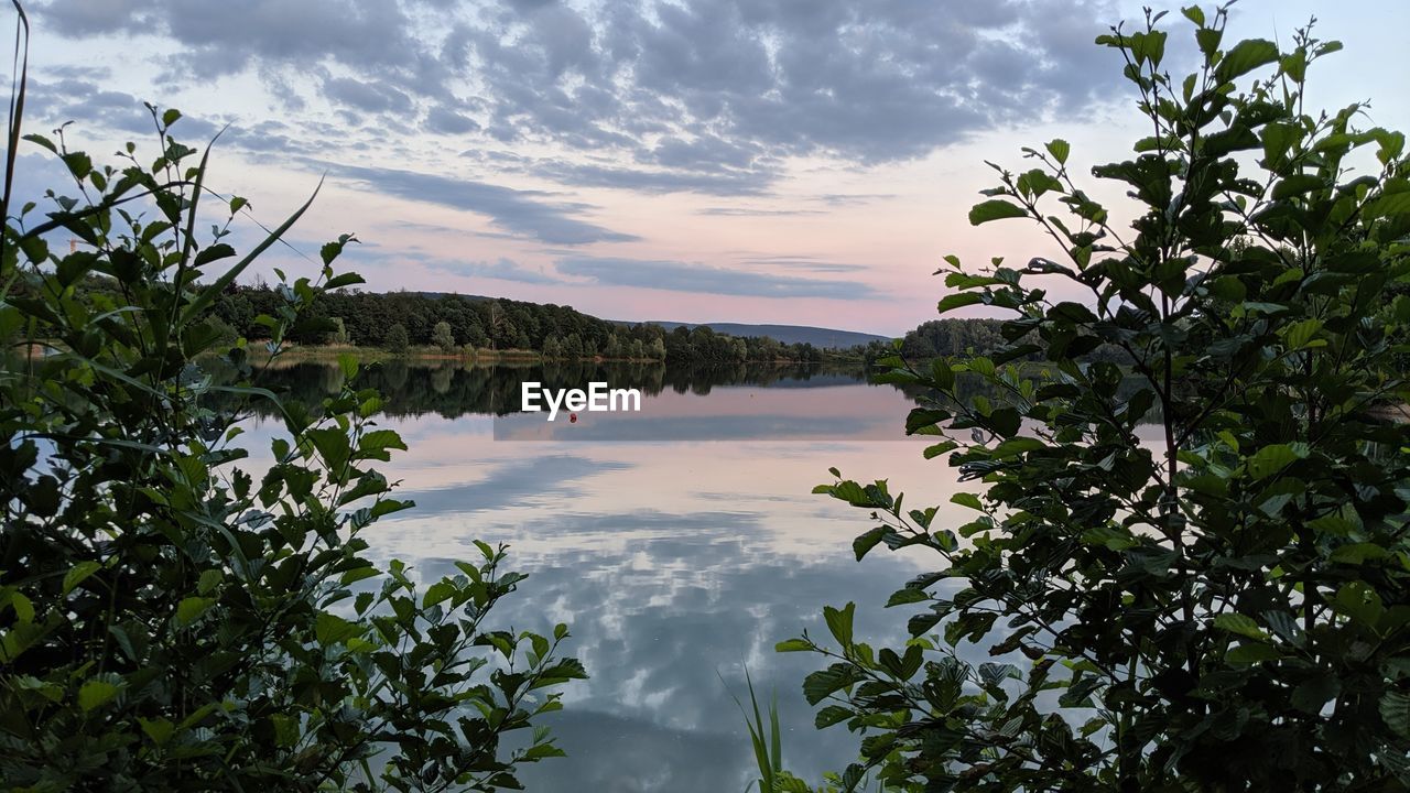 REFLECTION OF TREES IN LAKE AGAINST SKY