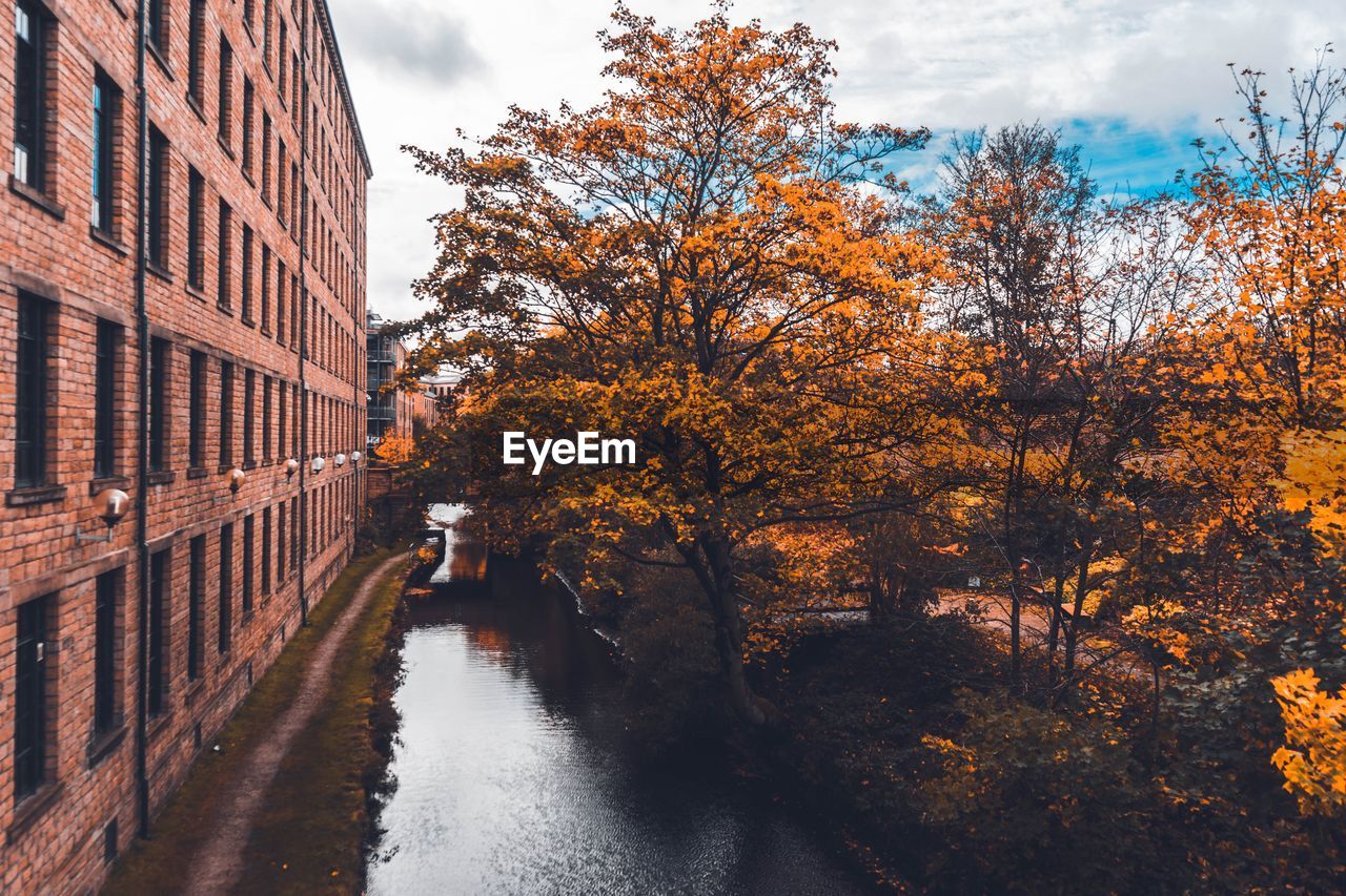 Autumn trees by water against sky