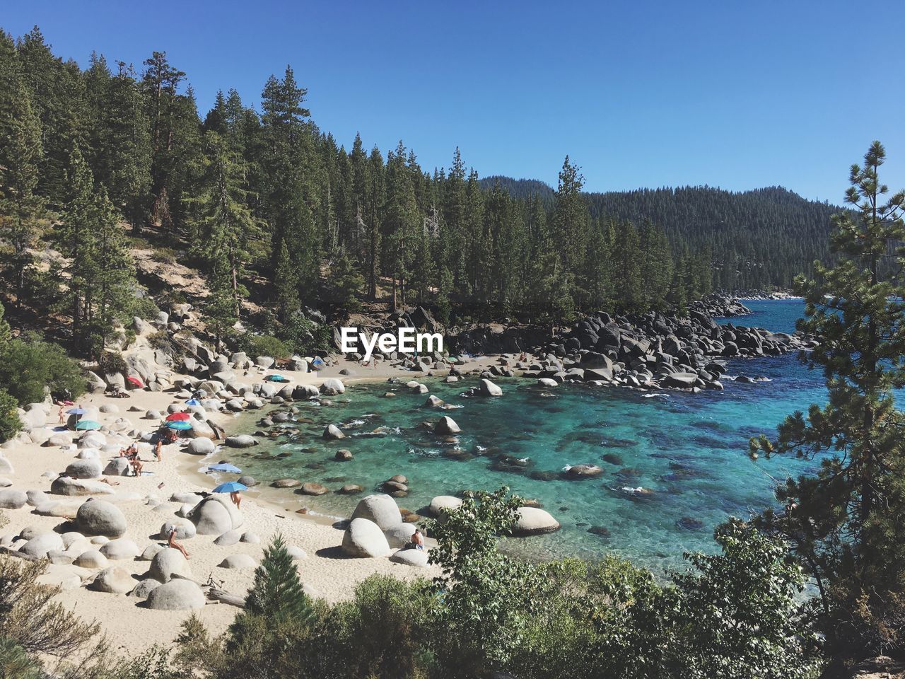 Scenic view of sea against forest