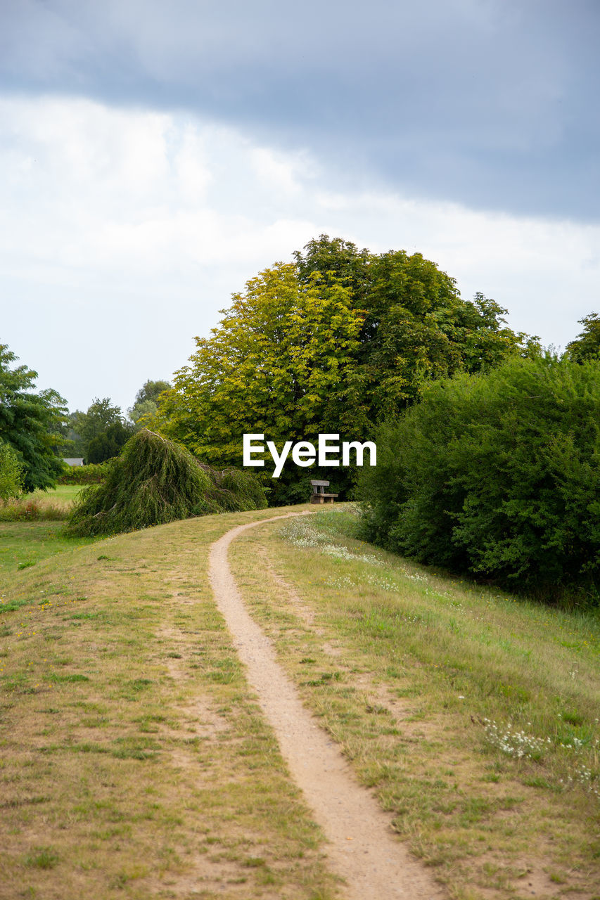 Road amidst trees on field against sky