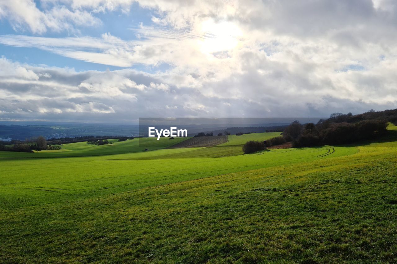 landscape, environment, sky, cloud, scenics - nature, grassland, land, horizon, plant, green, beauty in nature, field, grass, nature, hill, agriculture, tranquility, rural scene, plain, tranquil scene, pasture, rural area, no people, meadow, sunlight, non-urban scene, idyllic, prairie, tree, farm, day, plateau, outdoors, morning, growth, springtime, cloudscape, summer, sunbeam, crop, travel destinations, horizon over land, travel, dramatic sky, blue, environmental conservation