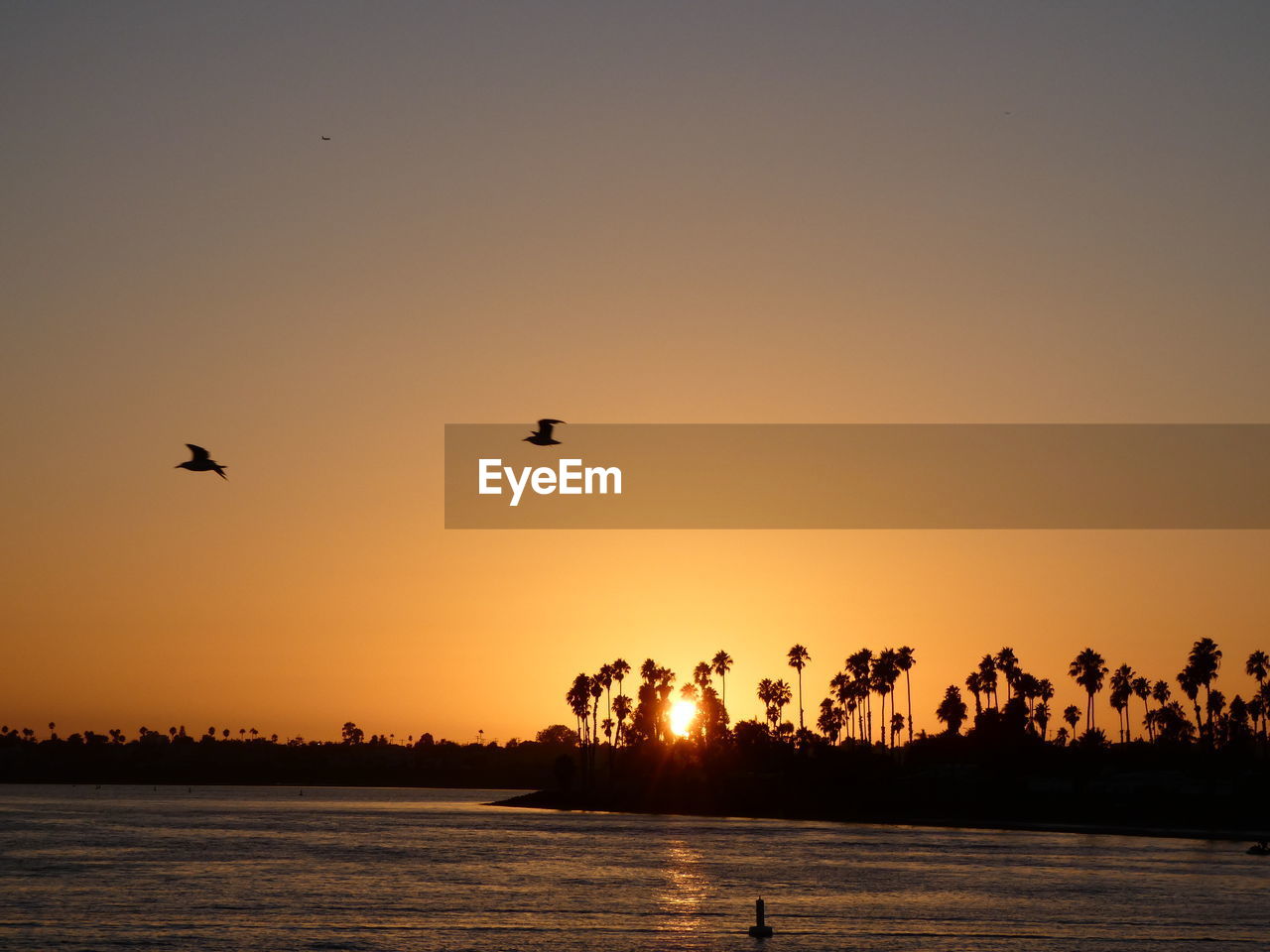 SILHOUETTE BIRDS FLYING OVER SEA DURING SUNSET