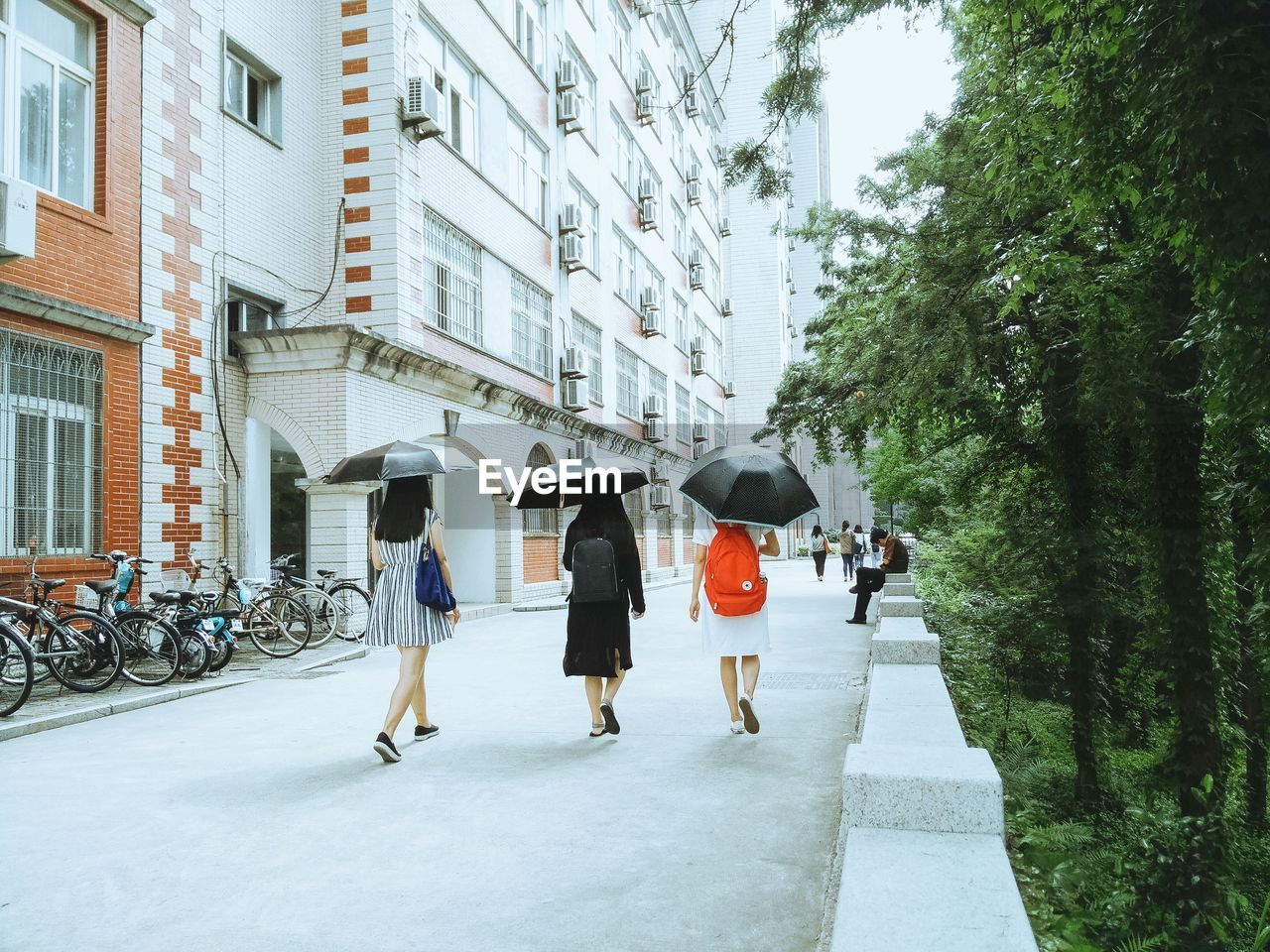 Rear view of woman holding umbrella and walking on street