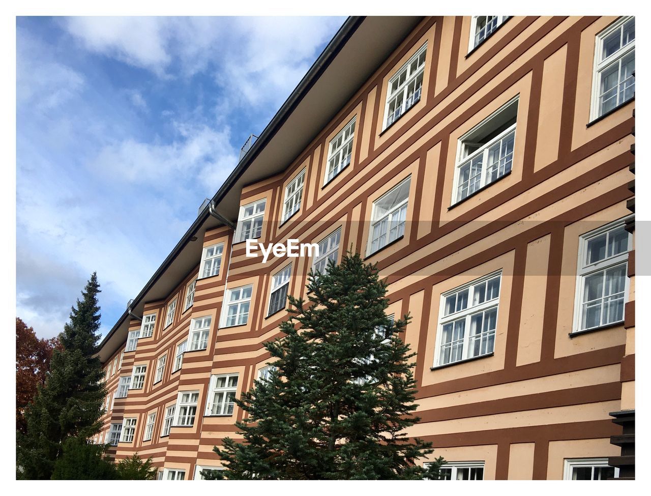 LOW ANGLE VIEW OF RESIDENTIAL BUILDING BY TREE AGAINST SKY