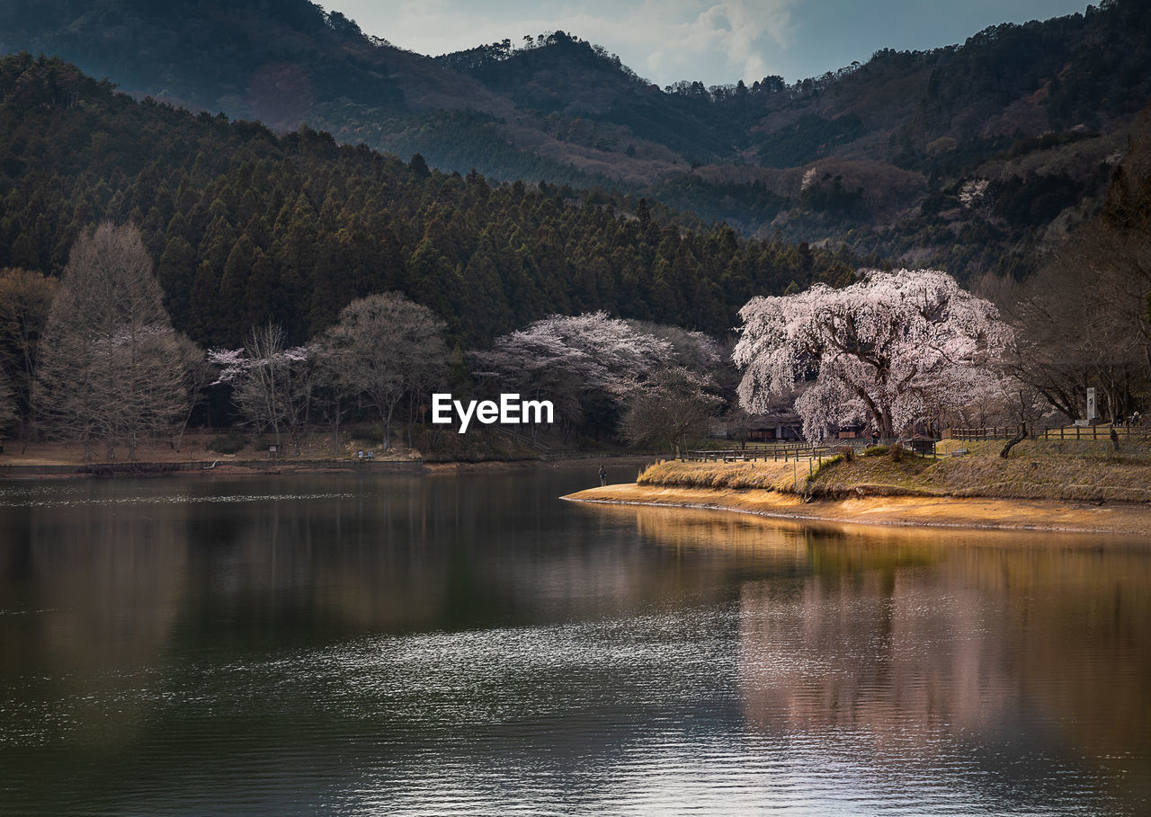 Scenic view of lake against mountains