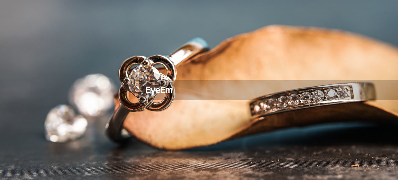 Close-up of snake on table