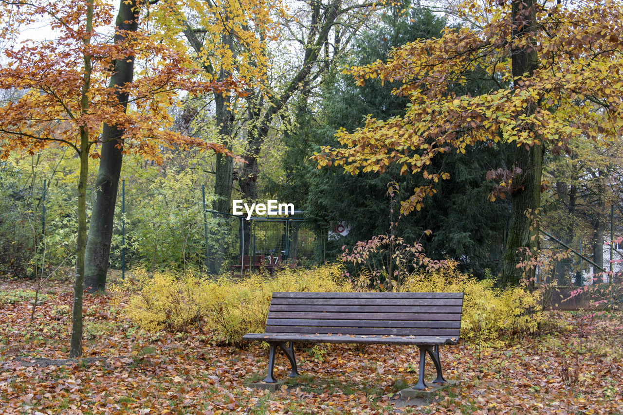 EMPTY BENCHES IN PARK DURING AUTUMN