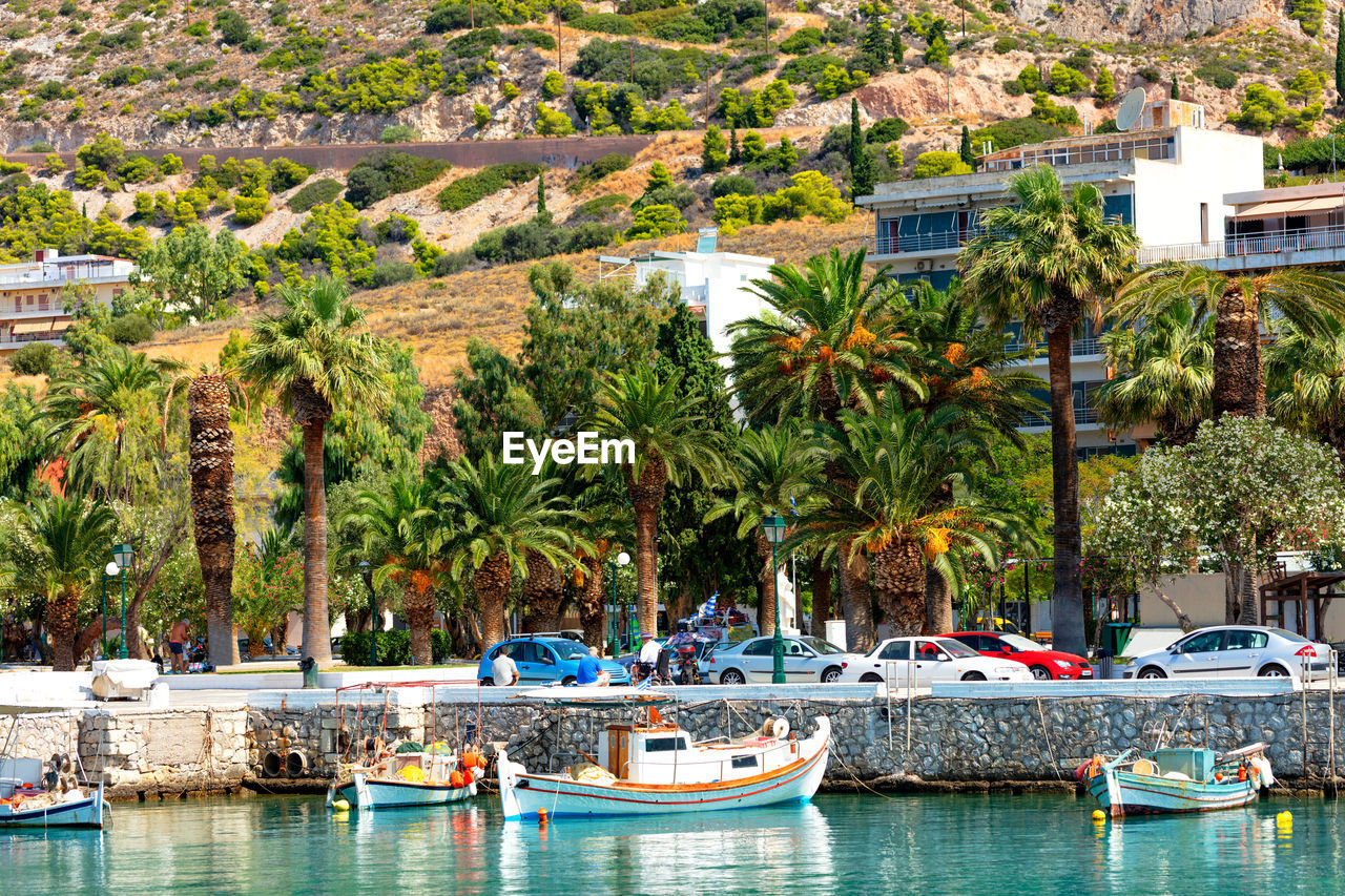 BOATS MOORED IN SEA AGAINST TREES