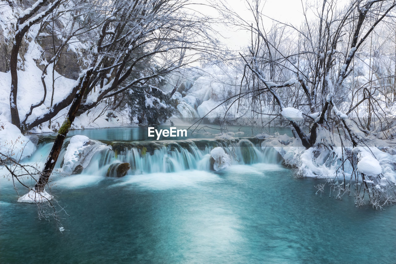 SCENIC VIEW OF SNOW COVERED FOREST