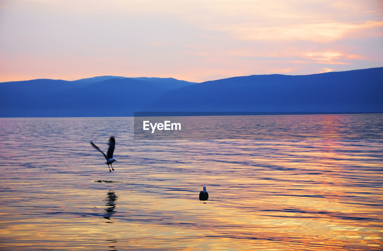 Scenic view of sea during sunset