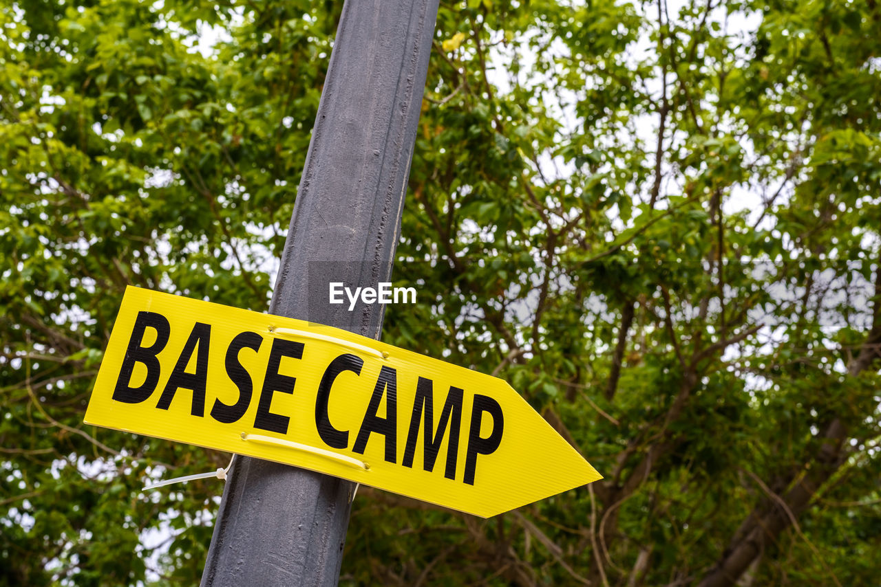 LOW ANGLE VIEW OF ROAD SIGN BY TREE