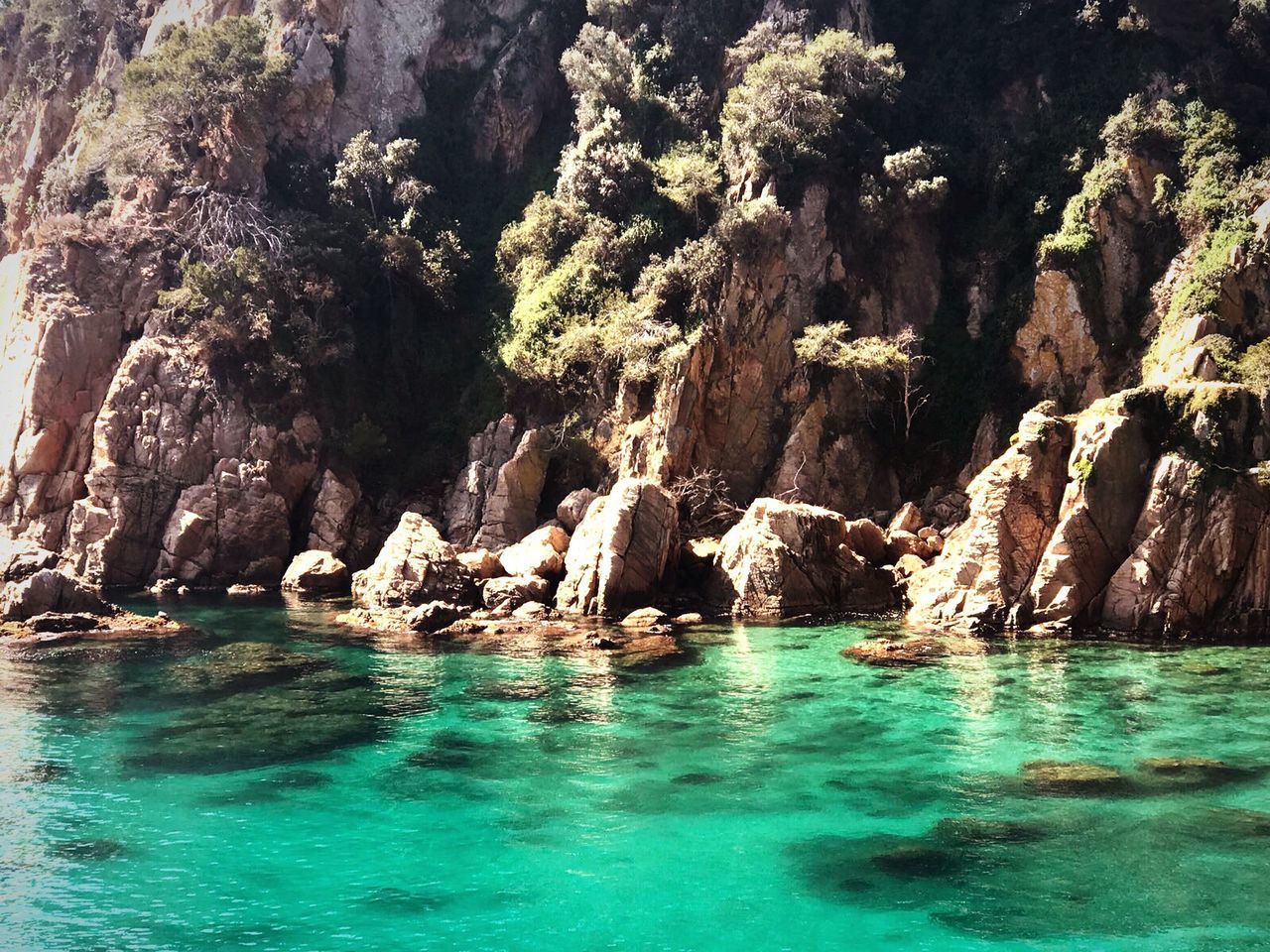 VIEW OF SWIMMING POOL BY TREES