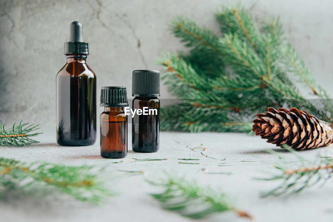 Front view of glass bottles of pine essential oil with fresh fir tree branch 