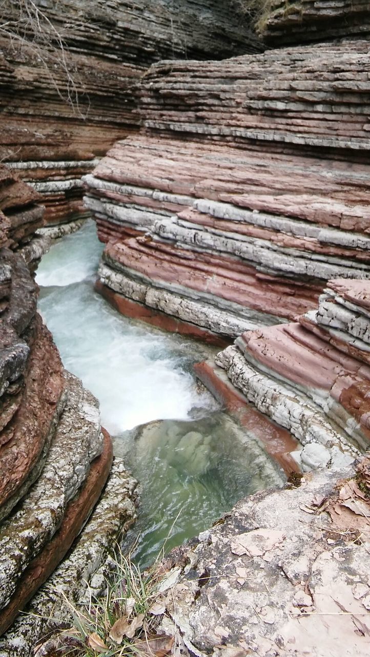 VIEW OF TREE STUMP IN WATER