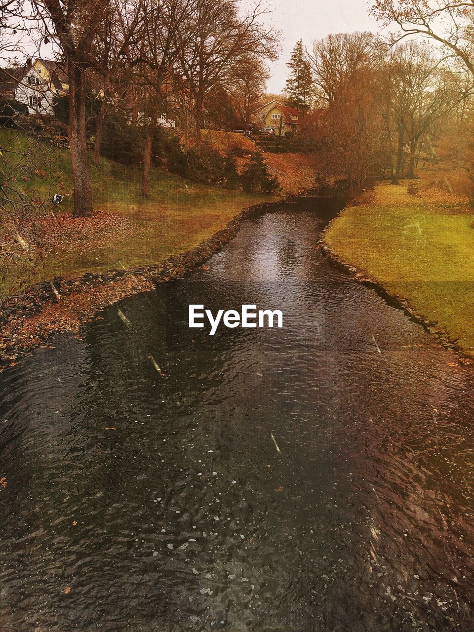 Stream amidst grassy field during autumn