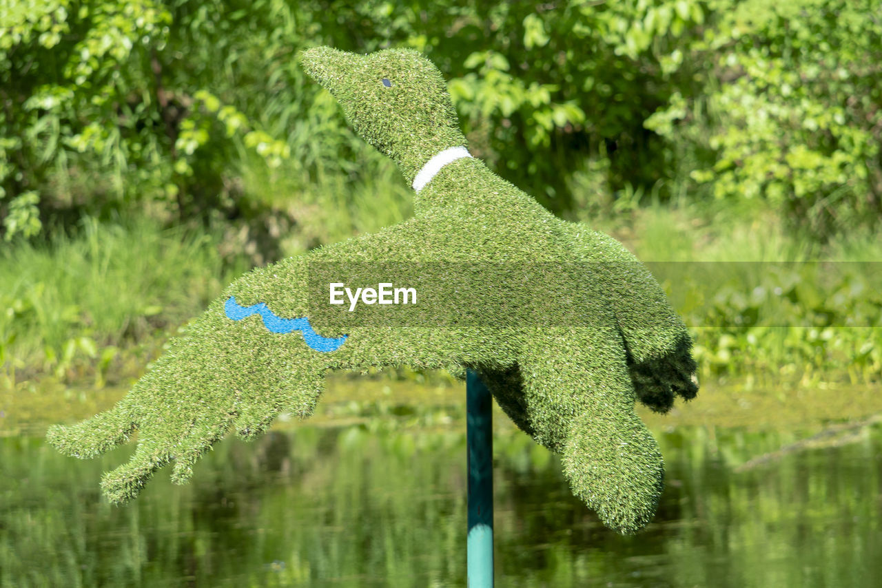 Close-up of fresh green plants in lake